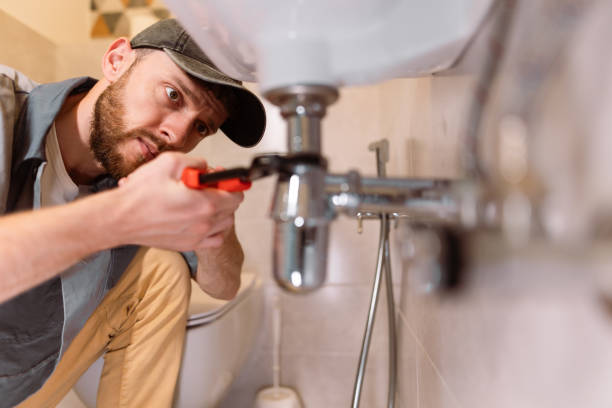 Best Plumbing Services Near Me  in Mackinaw, IL