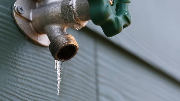 Best Plumbing Inspection Services  in Mackinaw, IL